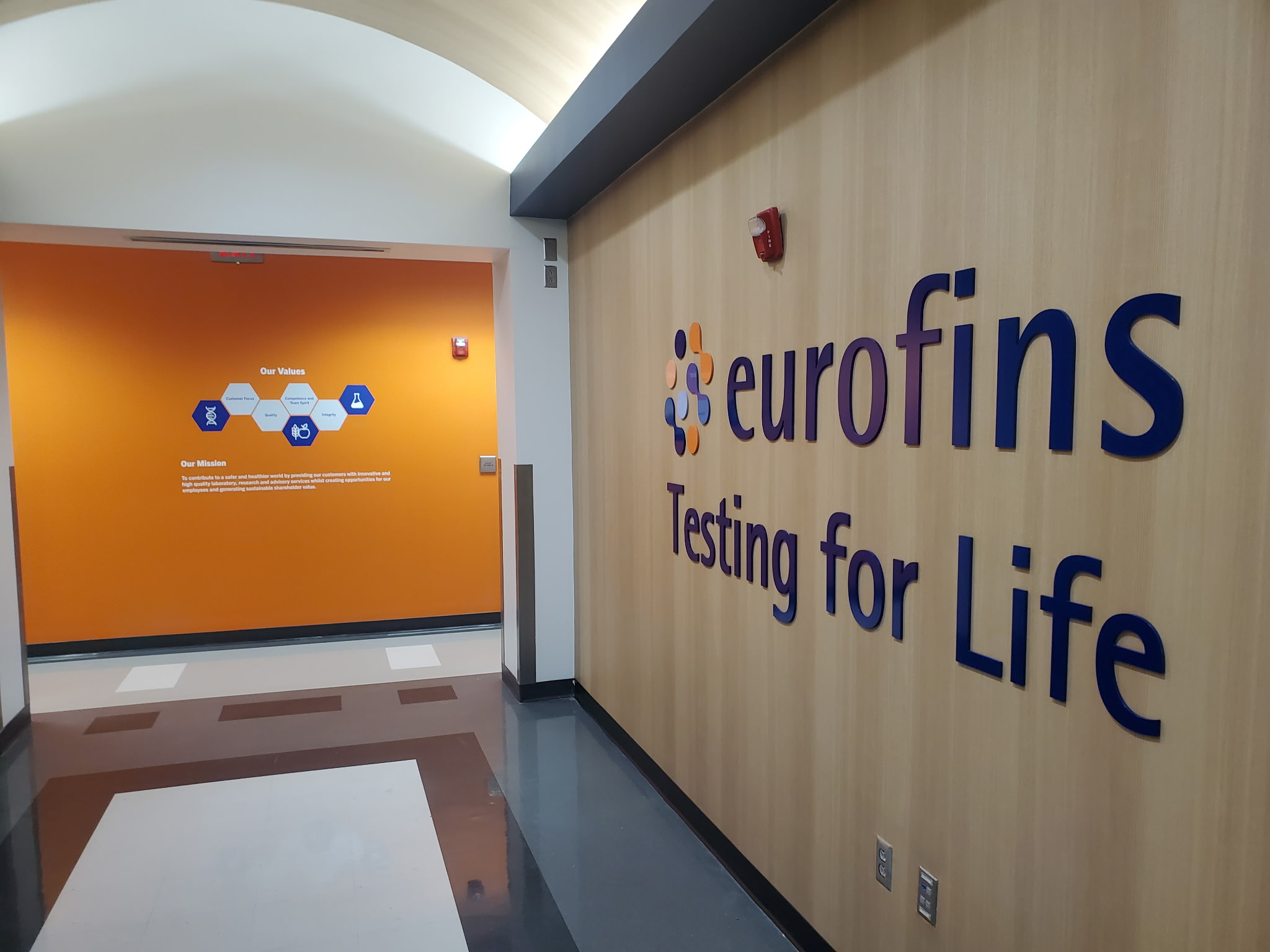 Eurofins — elevator lobby with 'Testing for Life' branded wood wall and orange values wall beyond